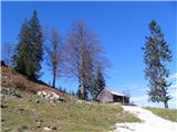 Kranjska reber (Kašni vrh) - Kašna planina Pastirska koča.